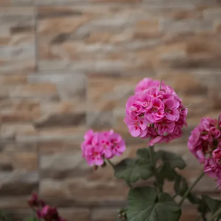 Stefaneli Lejlighedshotel Himarë