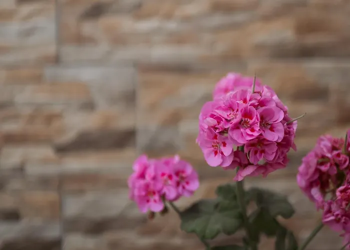 Stefaneli Aparthotel Himare